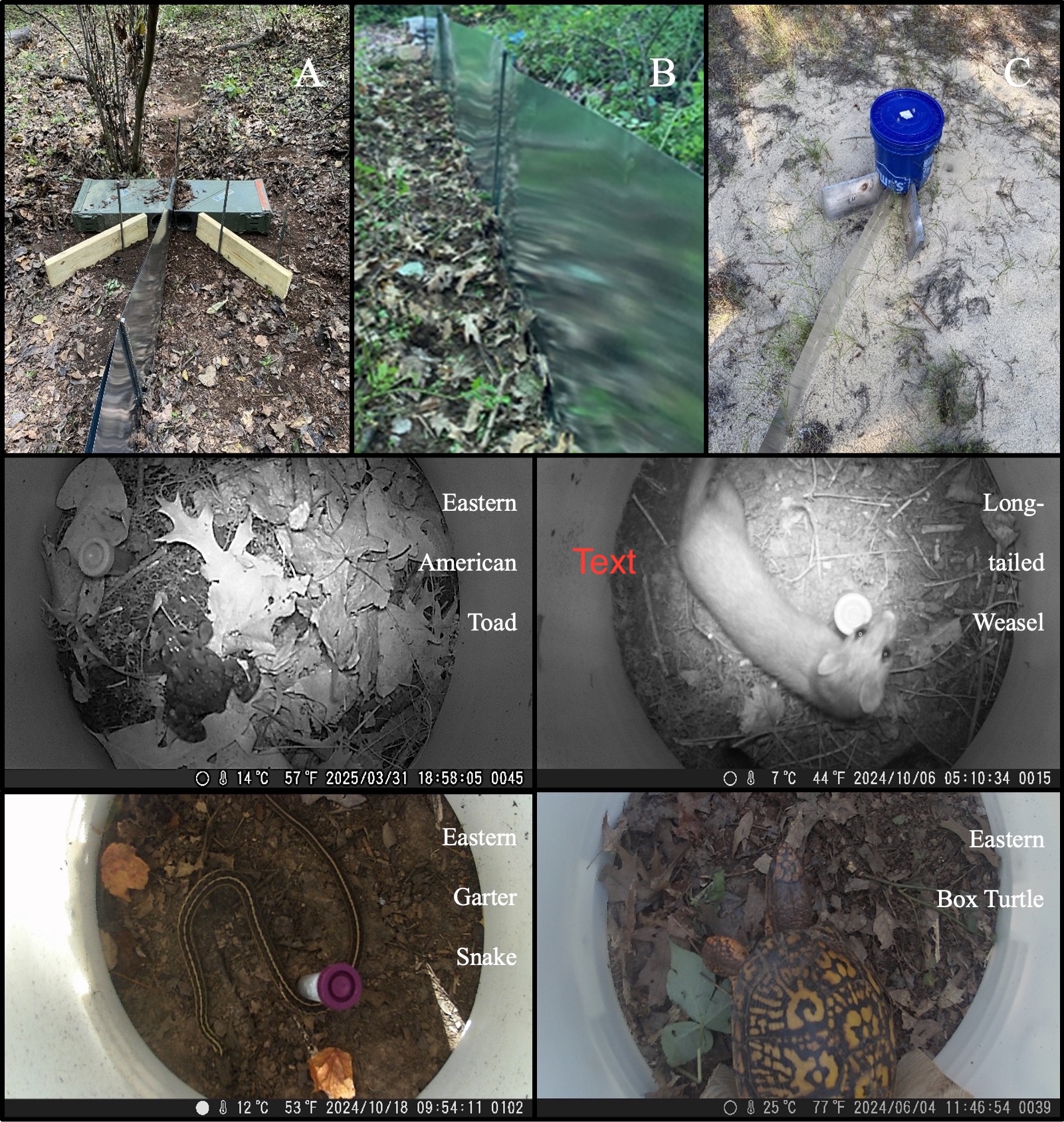 AHDDriFT vs. AMDriFT