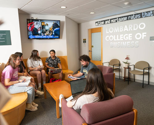 Students studying in the Lombardo College of Business lounge