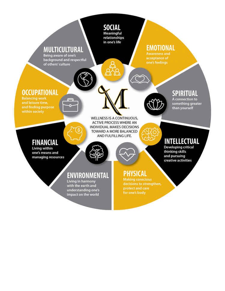 Circle divided into sections to describe the dimensions of wellness