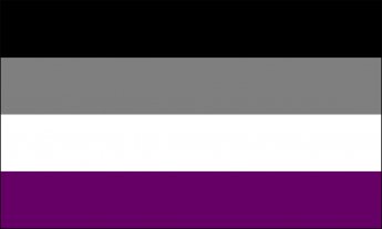 flag flags millersville purple asexual lgbtqia grey