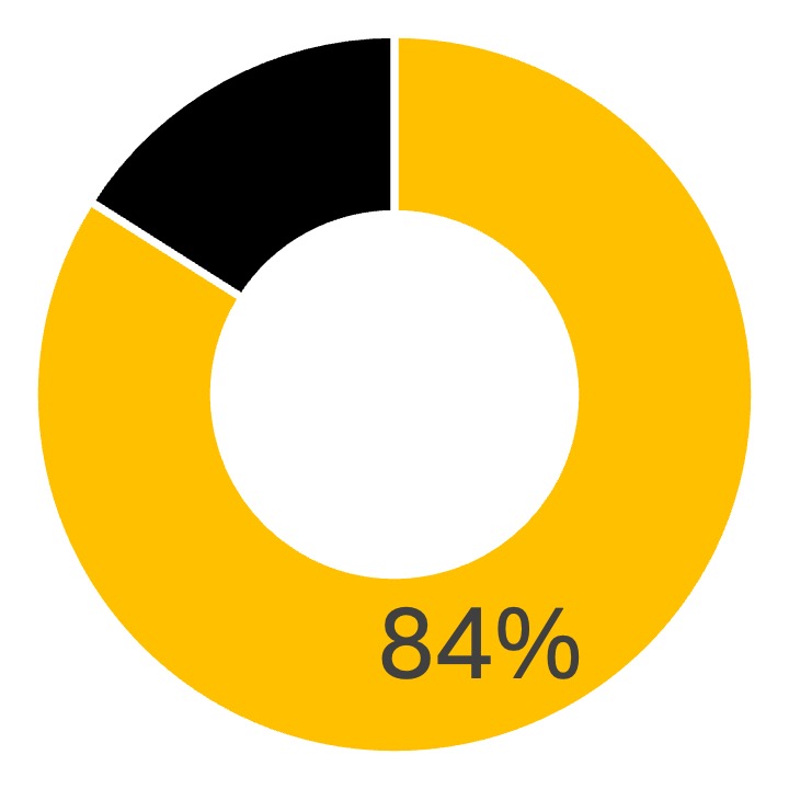 Circular graph depicting 84%