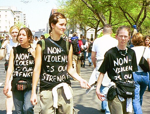  Pro-nonviolence protesters at an anti-globalization protest. by carolmooredc